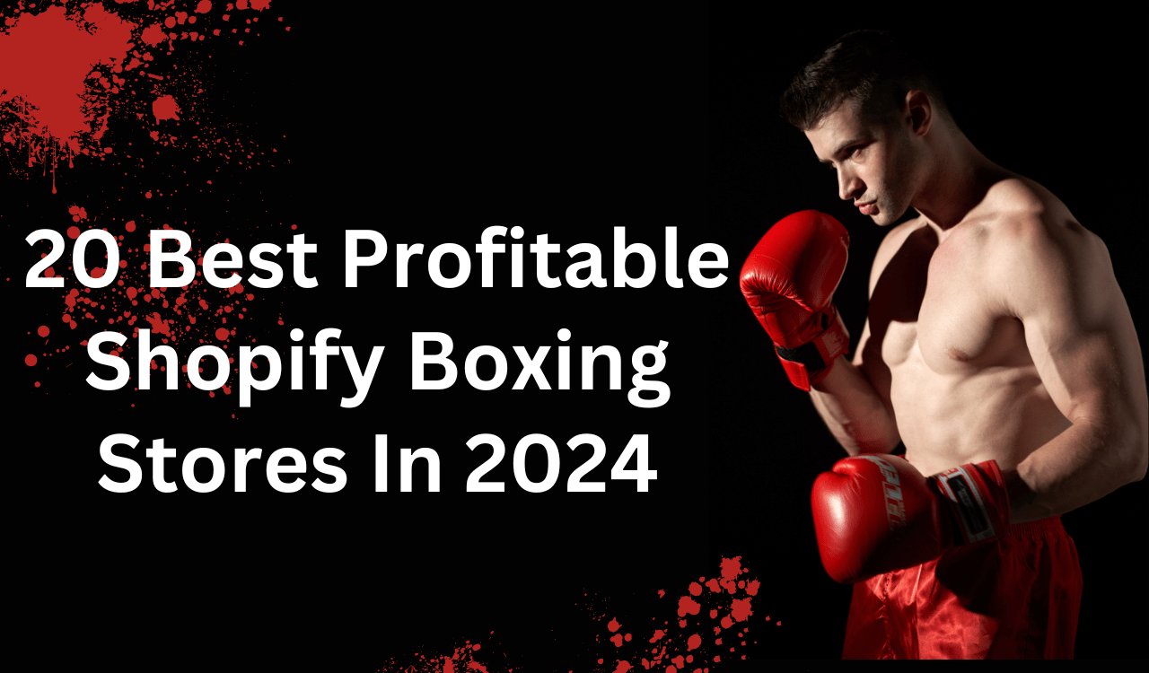 20 Best Profitable Shopify Boxing Stores In 2024