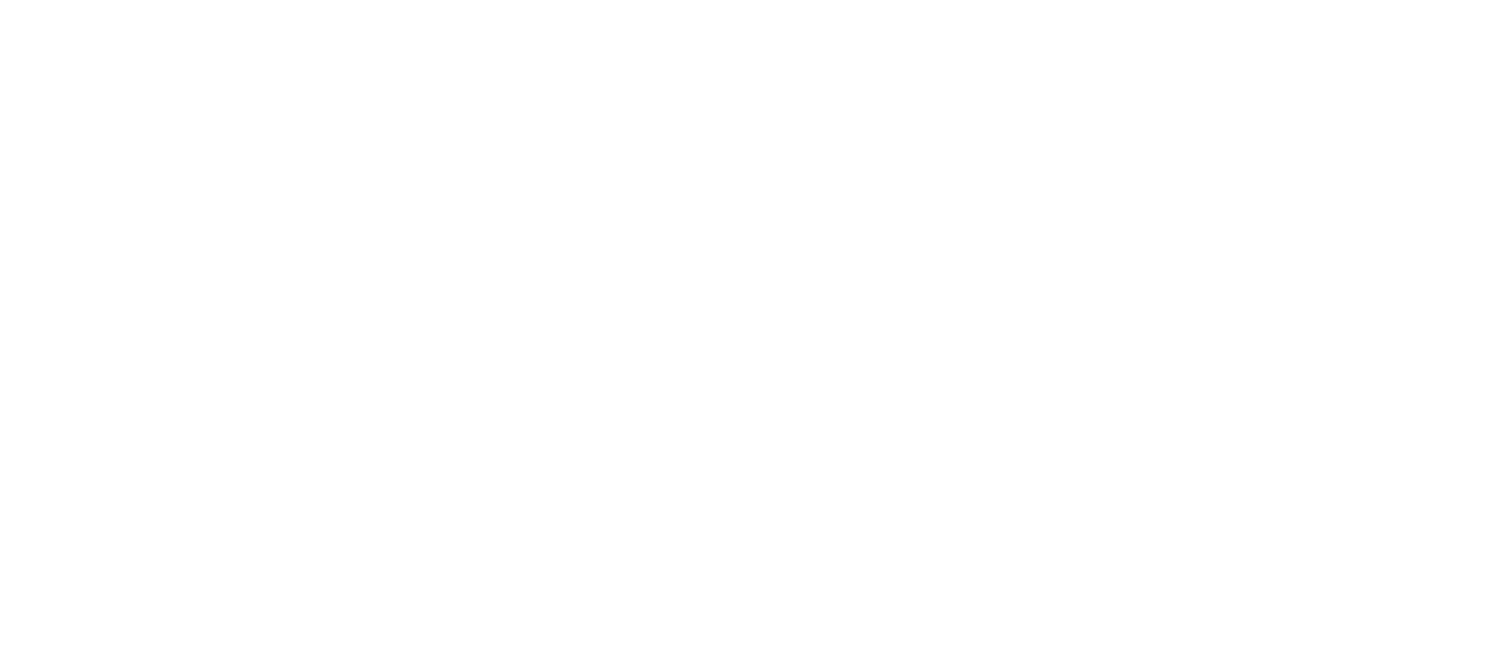 Streamline Health